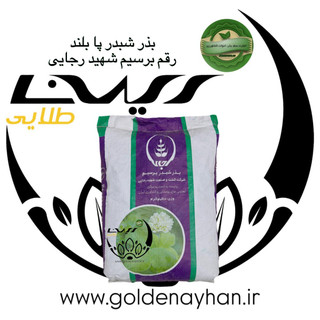 بذر شبدر پا بلند برسیم شهید رجایی کیسه 10 کیلویی