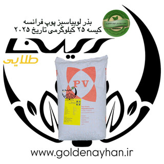 بذر لوبیا سبز پوپ هلند رقم سانری 2025 کیسه 25کیلویی