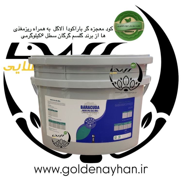کود معجزه گرN30 آلاگل گلسم باراکودا سطل 6 کیلویی کپی