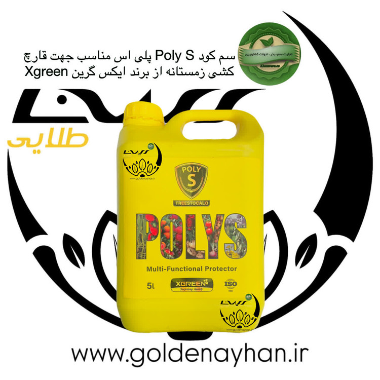 پلی اس ایکس گرین 5 لیتری