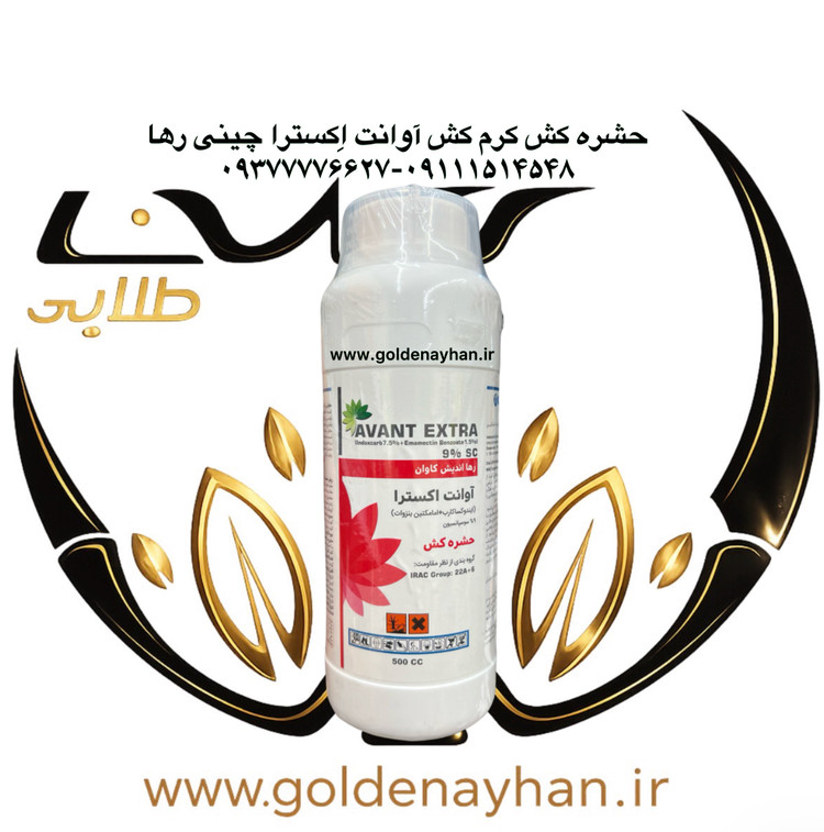 اوانت اکسترا رها اندیش کاوان چین ۵۰۰ سی سی