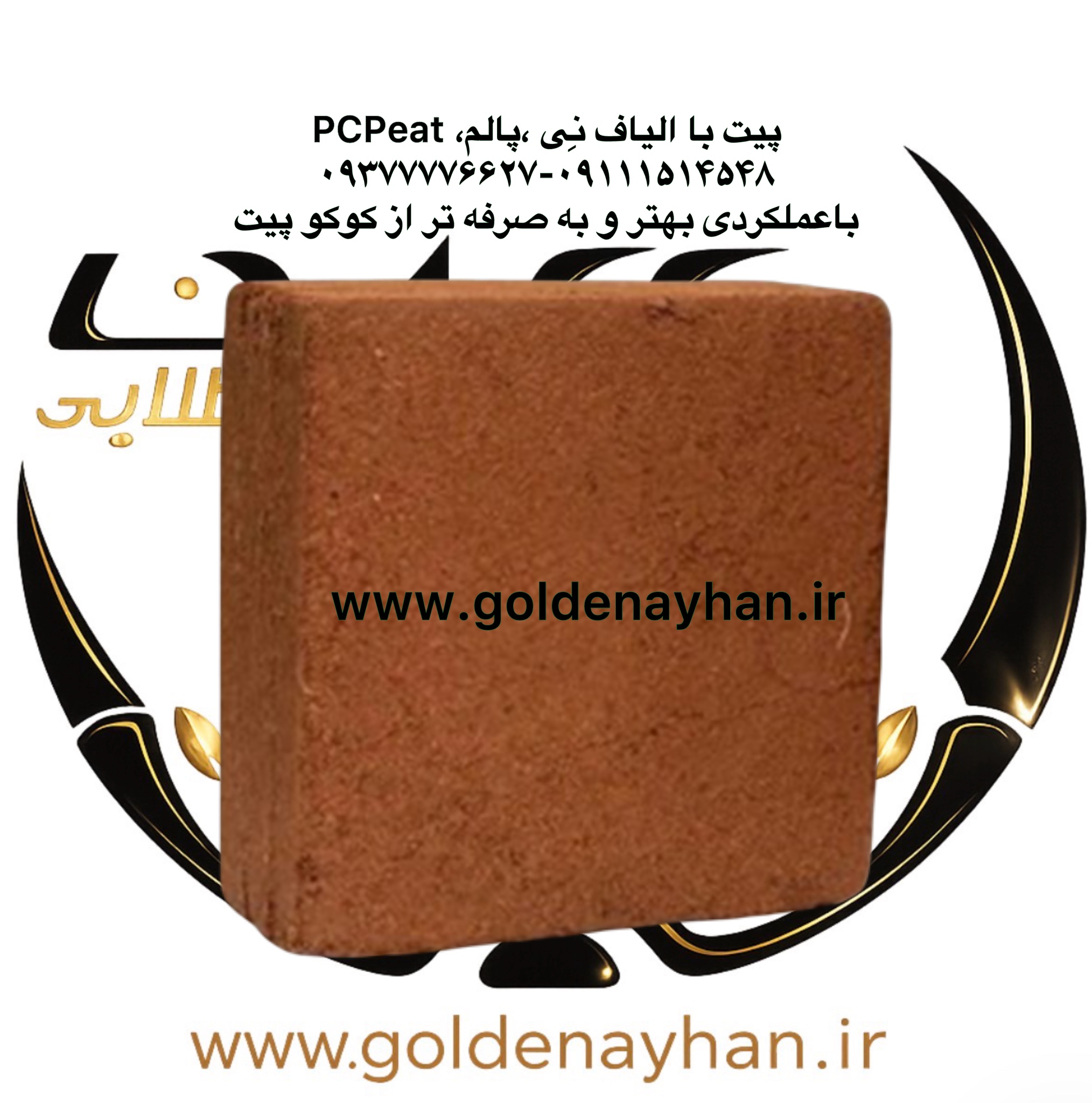 پی سی پیت (کوکوپیت) تک قالب