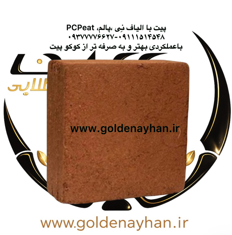 پی سی پیت (کوکوپیت) تک قالب