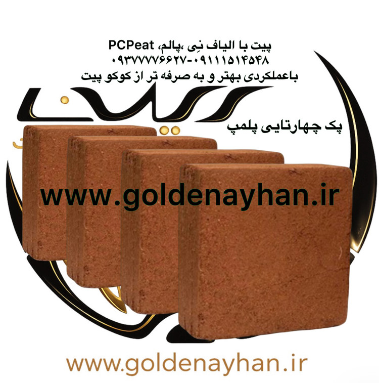 پی سی پیت (کوکوپیت) پک ۴ قالبی