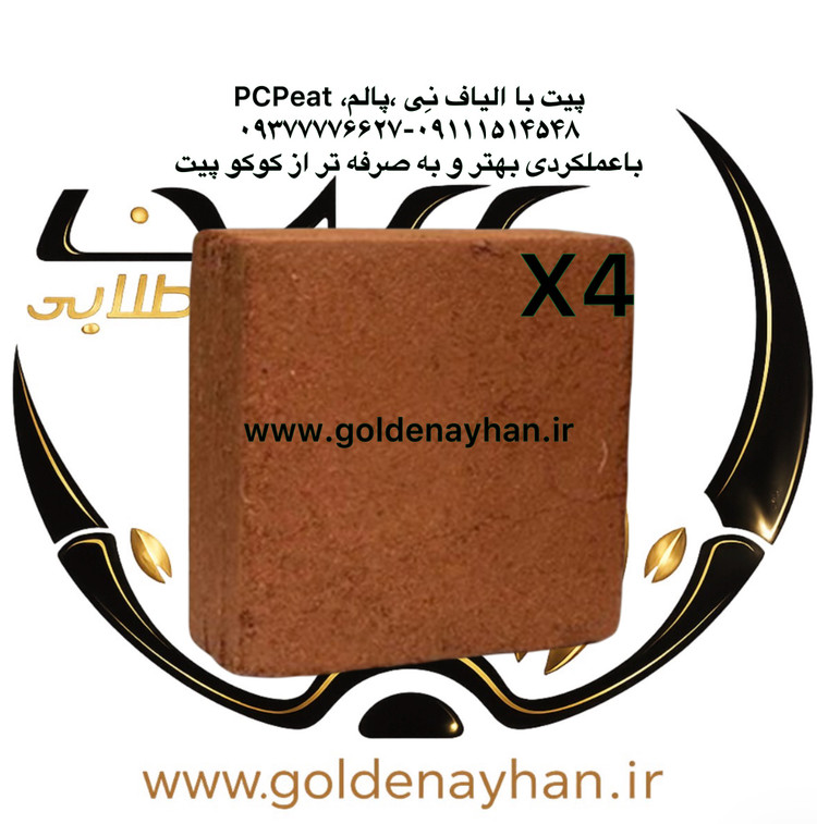 پی سی پیت (کوکوپیت) پک ۴ قالبی